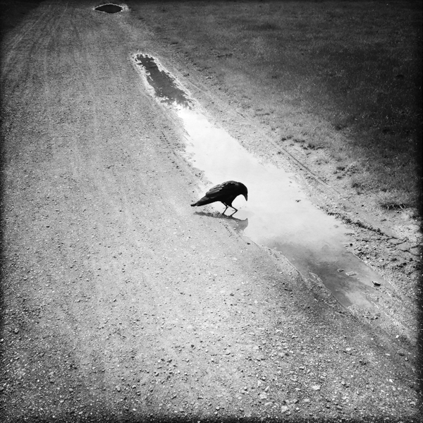 FOTOBIOGRAFIC__12