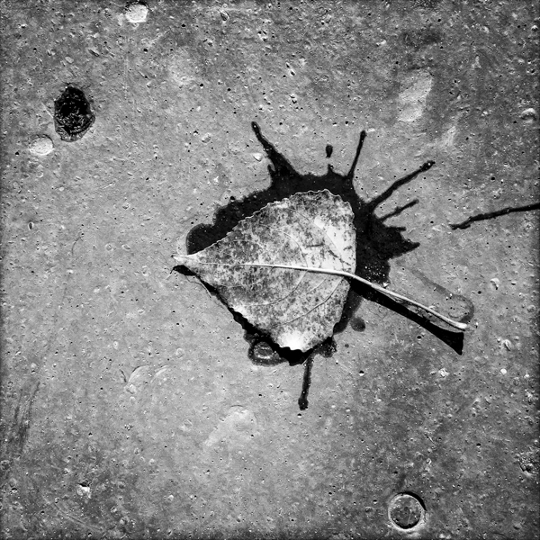 FOTOBIOGRAFIC__14