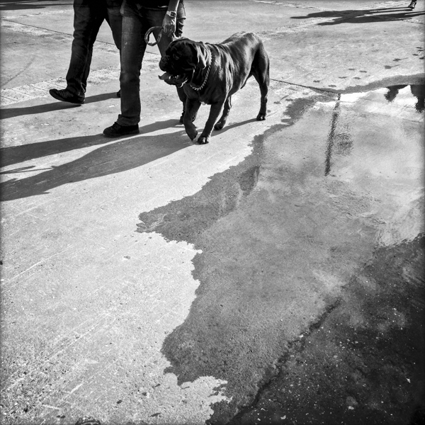 FOTOBIOGRAFIC__16