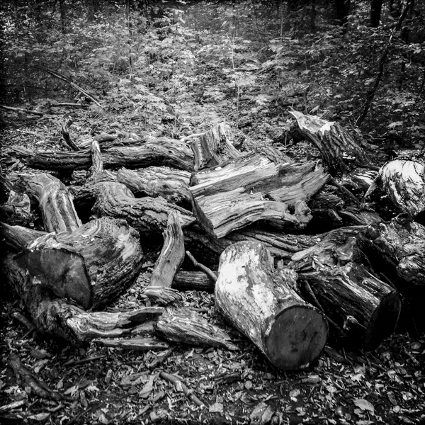 FOTOBIOGRAFIC__27