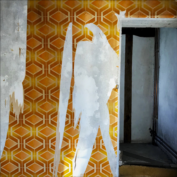FOTOBIOGRAFIC__45