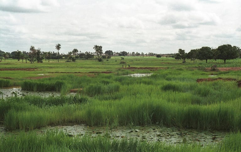BURKINAFASO-R_16